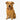Leather Accessories for Pets